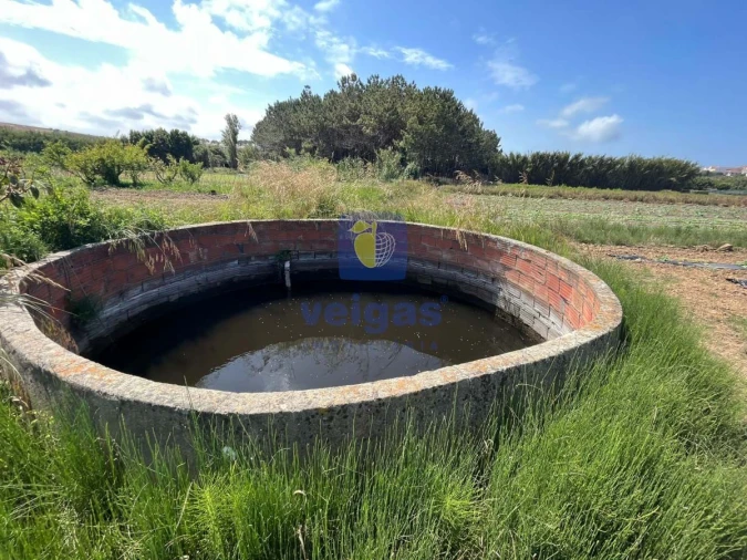 Terreno Agricola ou Rústico para Venda em Atouguia da Baleia Foto 7