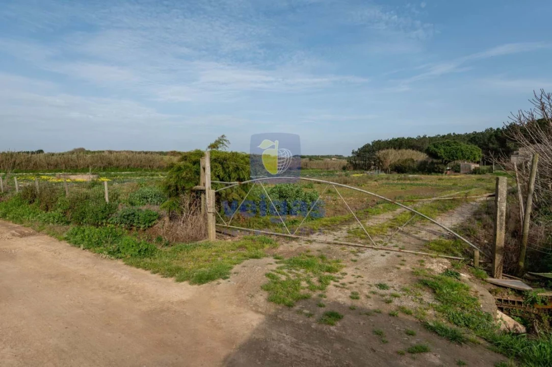 Terreno Agricola ou Rústico para Venda em Atouguia da Baleia Foto 20