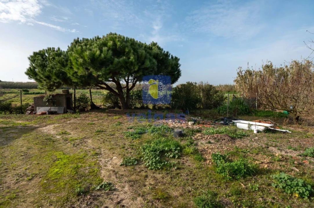 Terreno Agricola ou Rústico para Venda em Atouguia da Baleia Foto 25