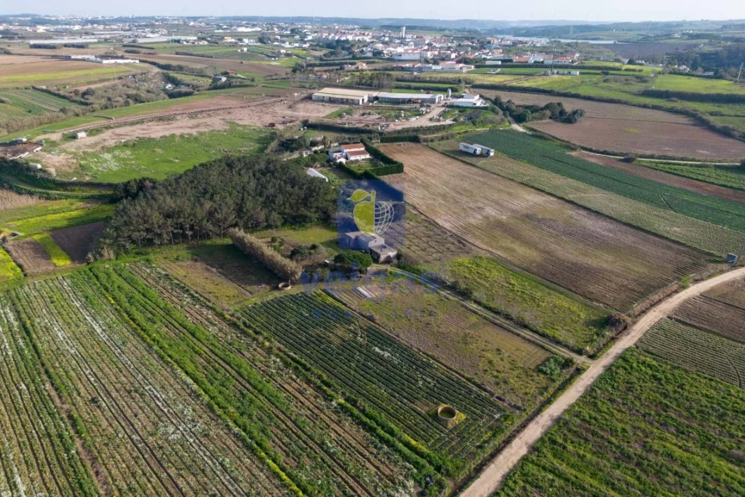 Terreno Agricola ou Rústico para Venda em Atouguia da Baleia Foto 21