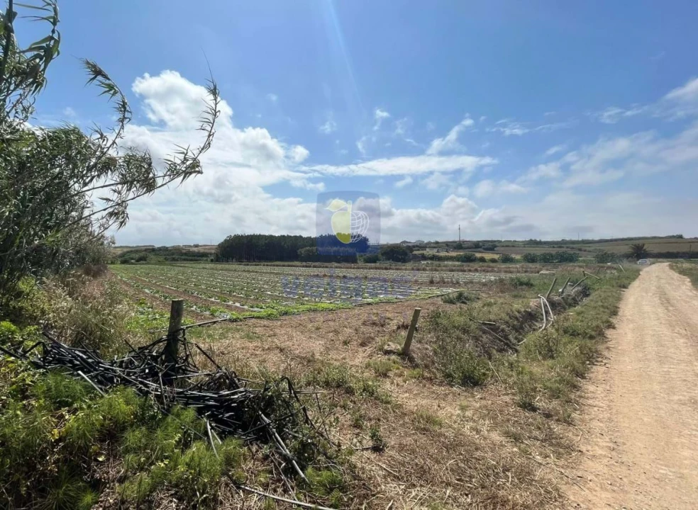 Terreno Agricola ou Rústico para Venda em Atouguia da Baleia Foto 8