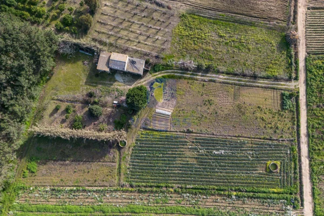Terreno Agricola ou Rústico para Venda em Atouguia da Baleia Foto 1