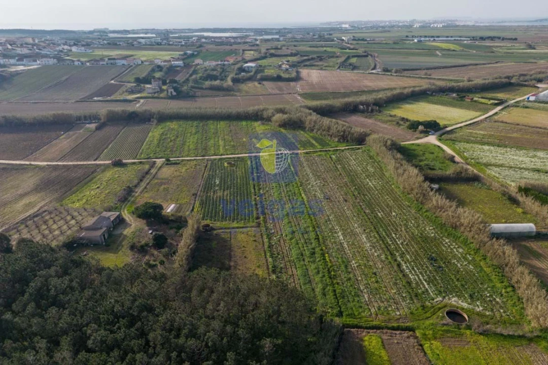 Terreno Agricola ou Rústico para Venda em Atouguia da Baleia Foto 17