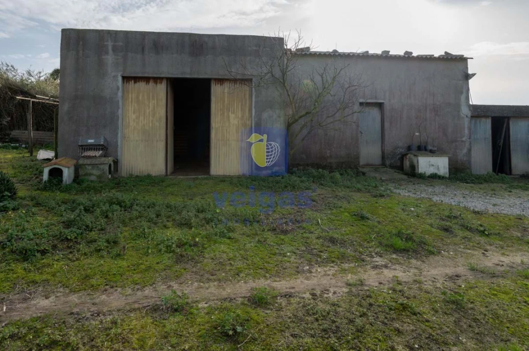 Terreno Agricola ou Rústico para Venda em Atouguia da Baleia Foto 3