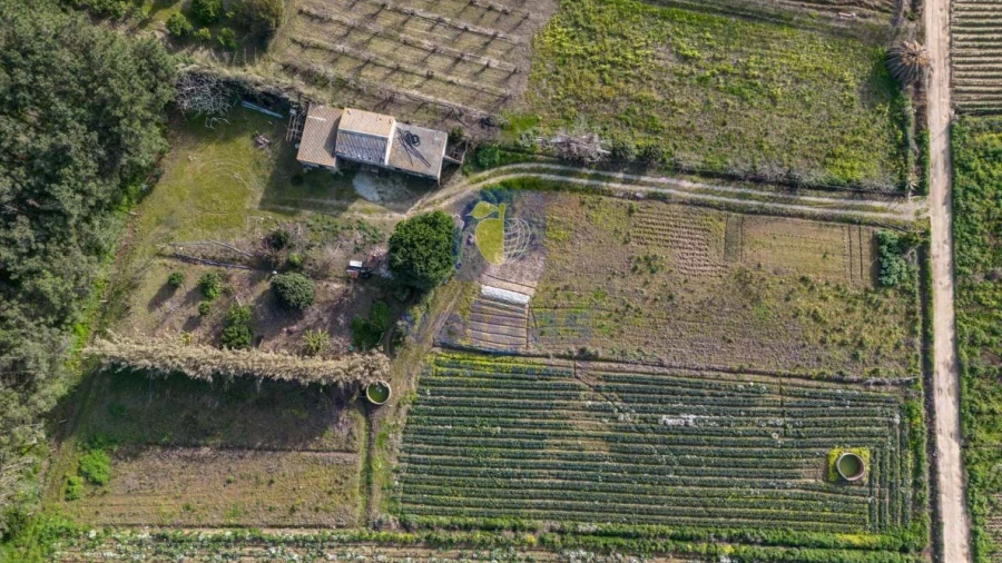 Terreno Agricola ou Rústico para Venda em Atouguia da Baleia