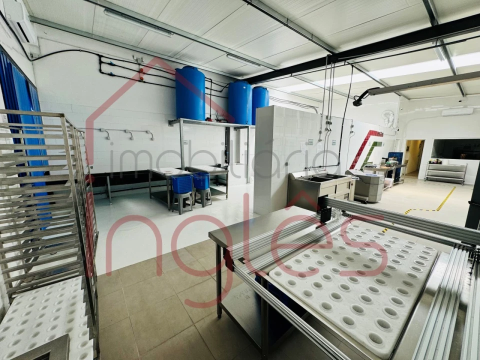 Armazém para Venda em Marvila, Ribeira Santarém, São Salvador, São Nicolau Foto 36