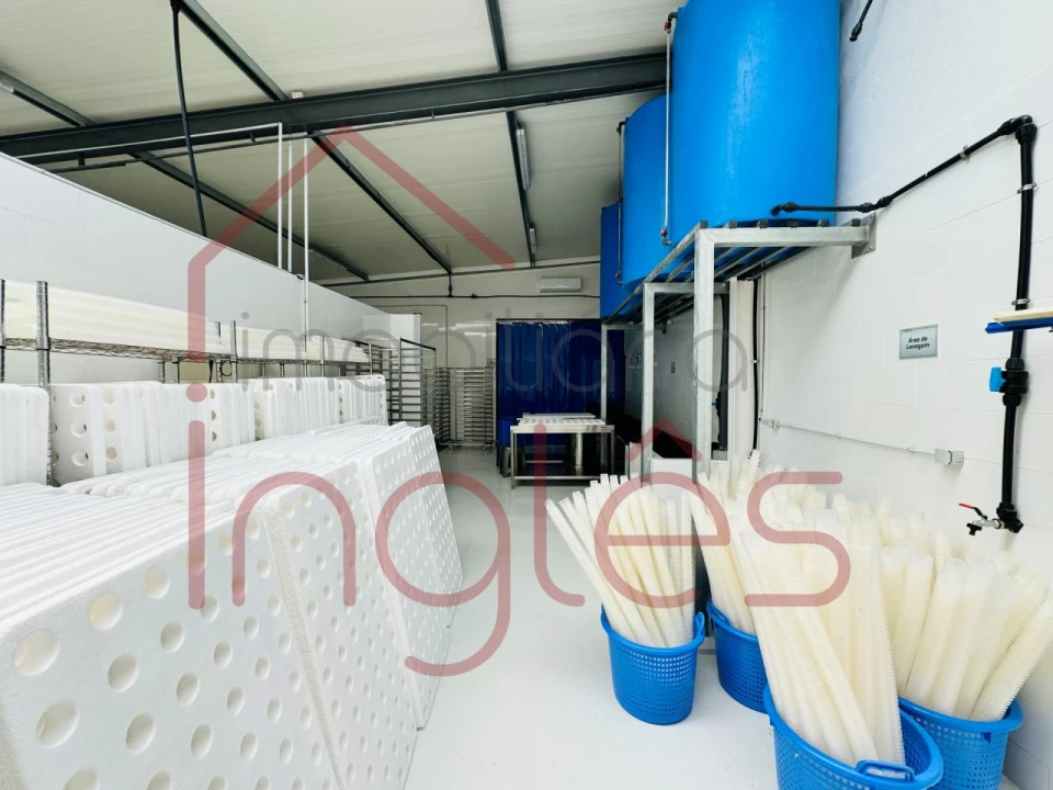 Armazém para Venda em Marvila, Ribeira Santarém, São Salvador, São Nicolau Foto 39