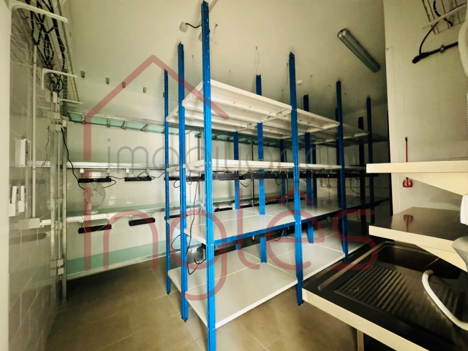 Armazém para Venda em Marvila, Ribeira Santarém, São Salvador, São Nicolau Foto 52