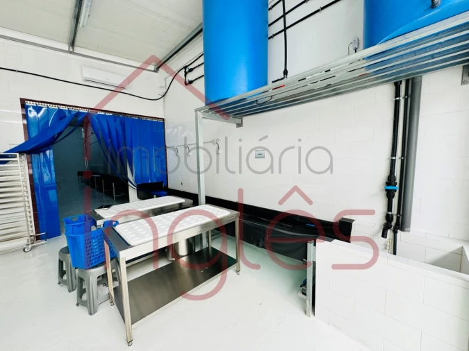 Armazém para Venda em Marvila, Ribeira Santarém, São Salvador, São Nicolau Foto 48