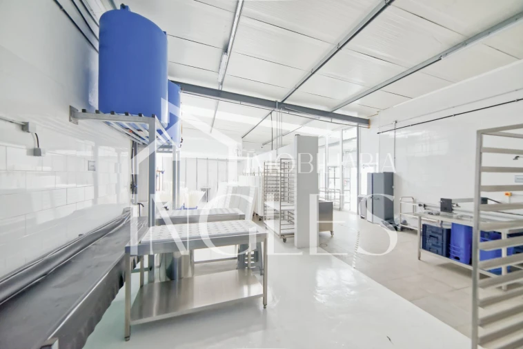 Armazém para Venda em Marvila, Ribeira Santarém, São Salvador, São Nicolau Foto 6