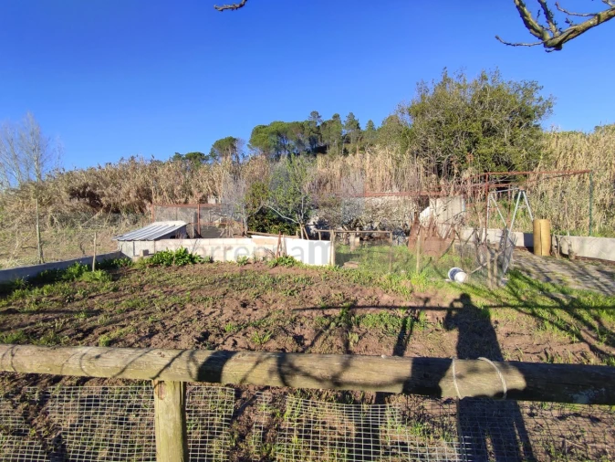 Moradia T4 para Venda em Eiras e São Paulo de Frades Foto 27