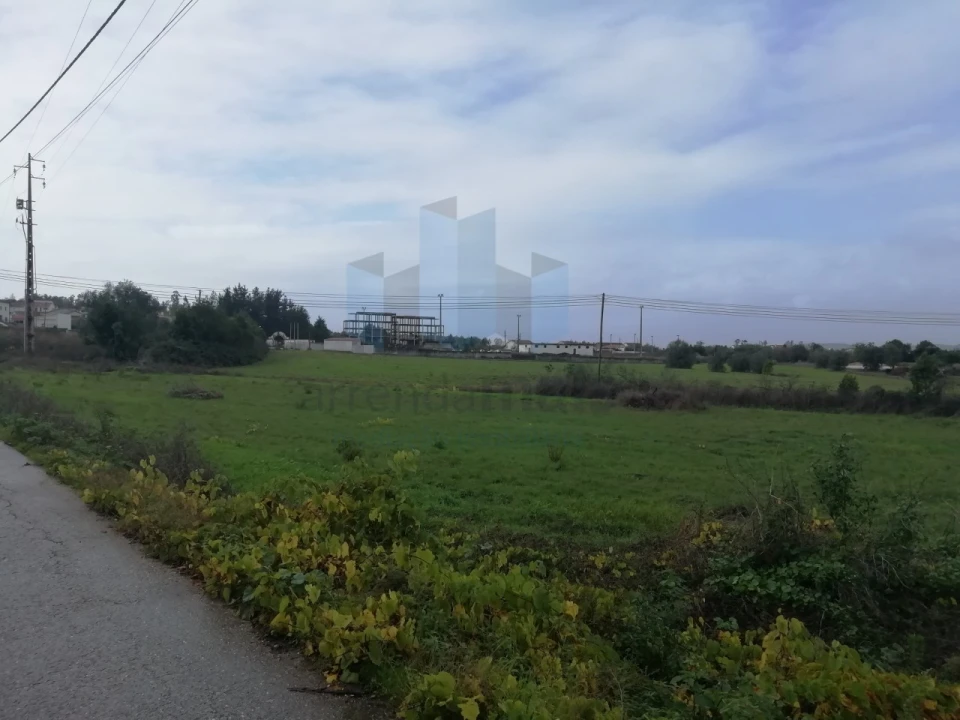 Terreno para Venda em Vila Nova de Anços Foto 4