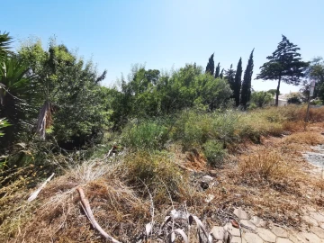 Terreno para Venda em Lagoa e Carvoeiro