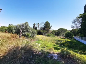 Terreno para Venda em Lagoa e Carvoeiro