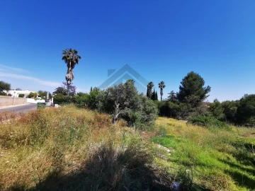 Terreno para Venda em Lagoa e Carvoeiro