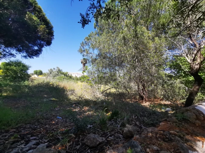 Terreno para Venda em Lagoa e Carvoeiro Foto 9
