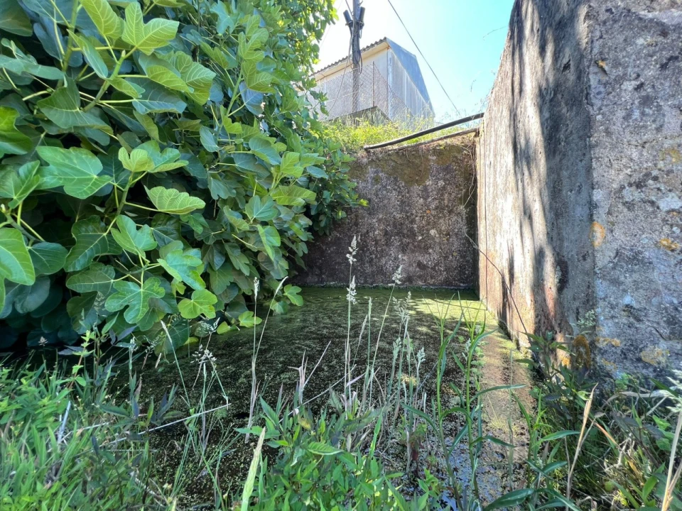 Quinta T2 para Venda em Marmelete Foto 6