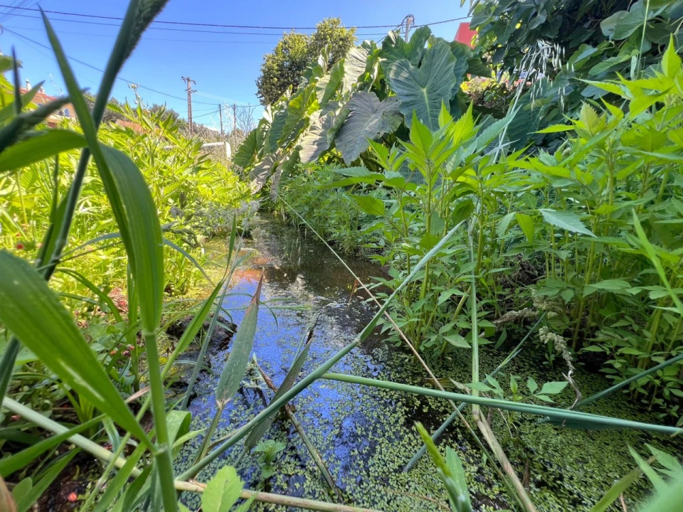 Quinta T2 para Venda em Marmelete Foto 7