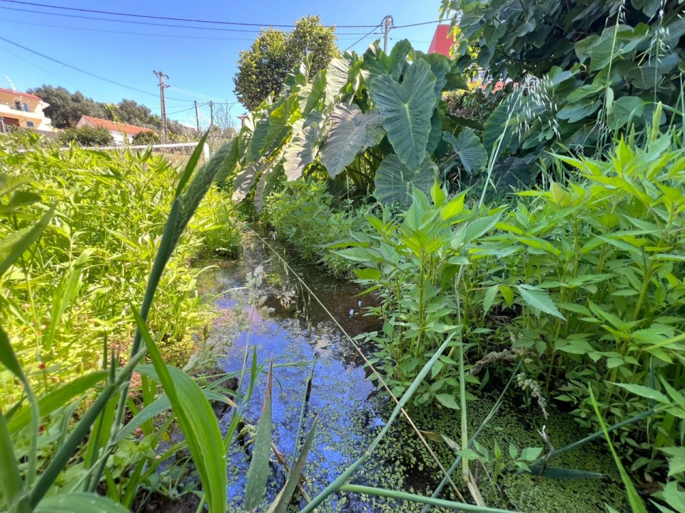 Quinta T2 para Venda em Marmelete Foto 19