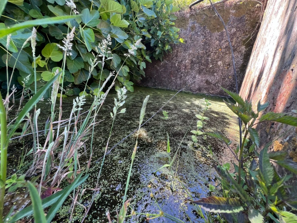 Quinta T2 para Venda em Marmelete Foto 28