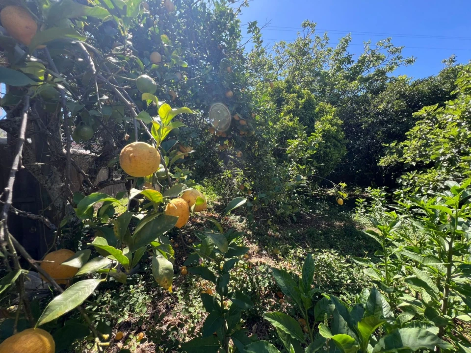 Quinta T2 para Venda em Marmelete Foto 29