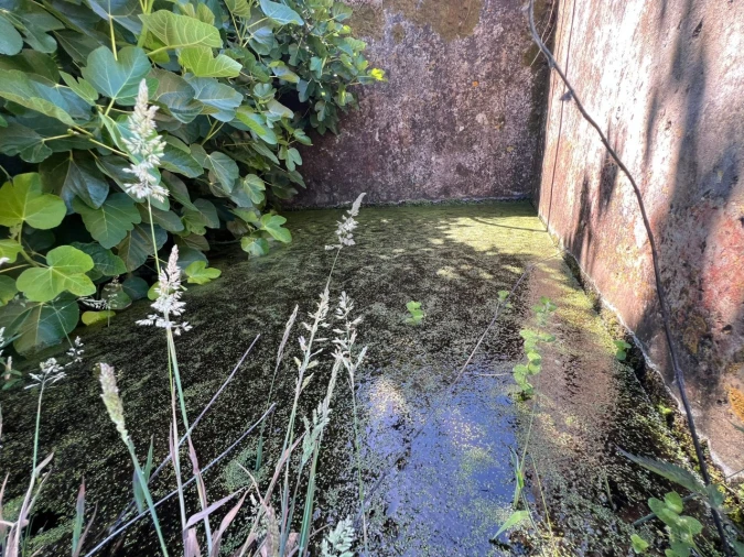 Quinta T2 para Venda em Marmelete Foto 8