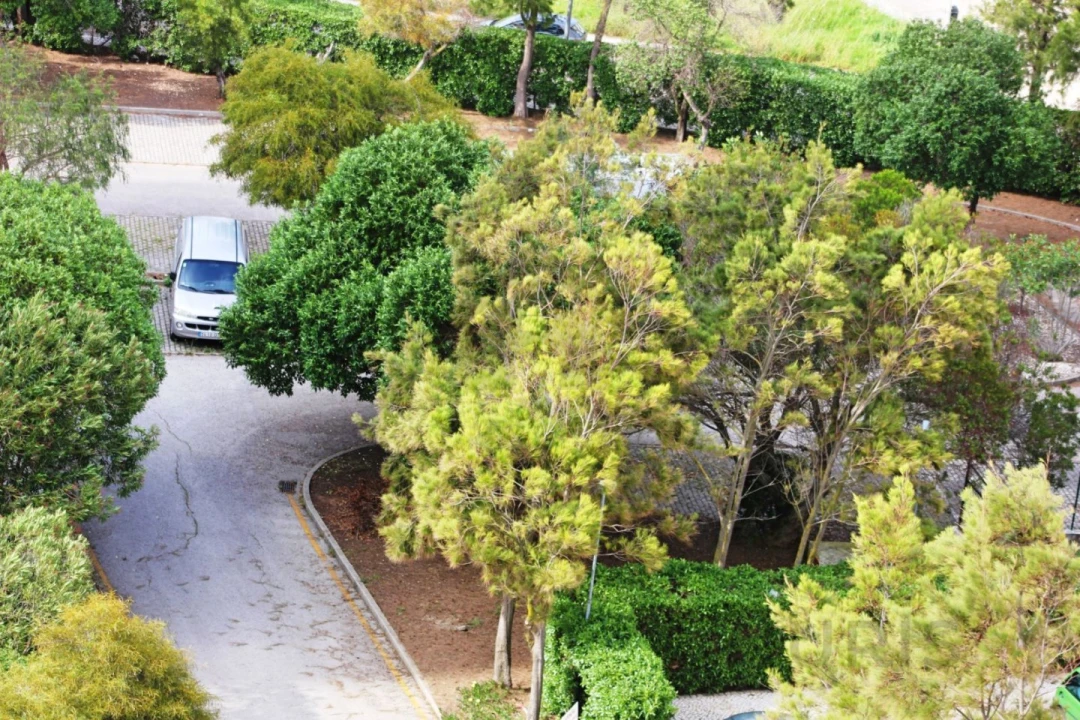 Apartamento T1 para Arrendamento férias em Portimão Foto 15