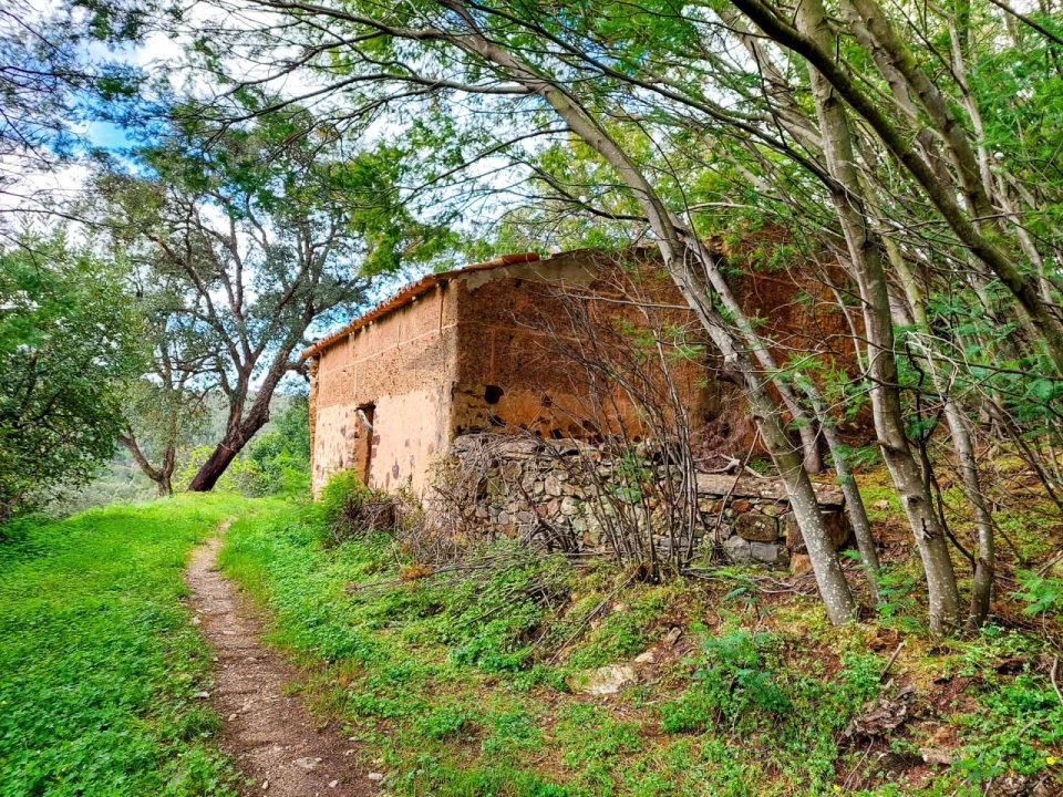 Quinta T5 para Venda em Monchique Foto 14
