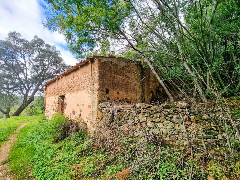 Quinta T5 para Venda em Monchique Foto 27