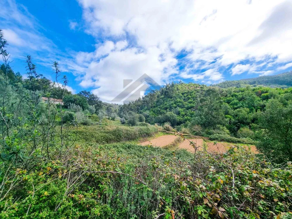 Quinta T5 para Venda em Monchique Foto 33
