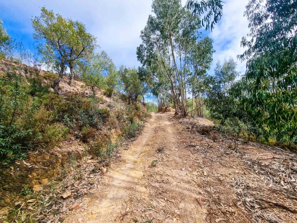 Quinta T5 para Venda em Monchique Foto 42