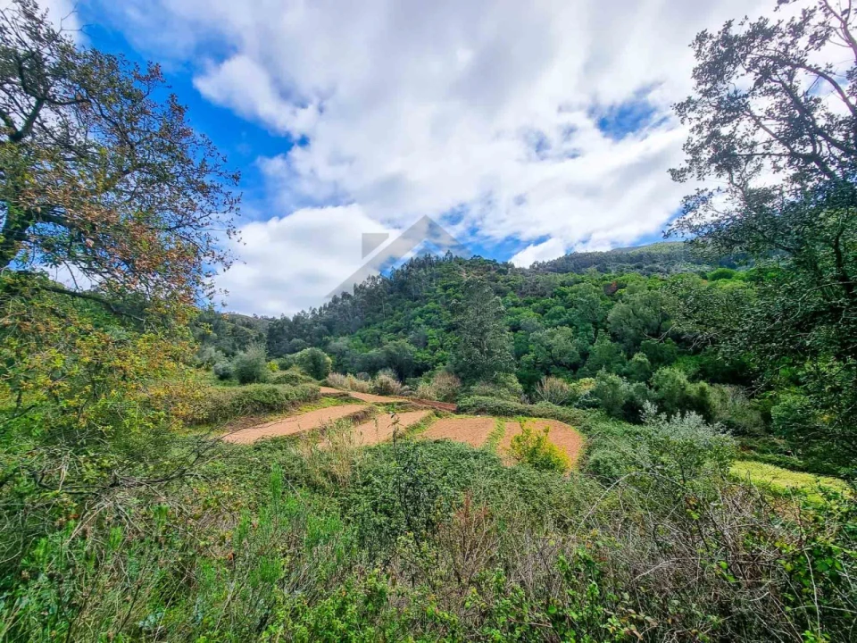 Quinta T5 para Venda em Monchique Foto 38