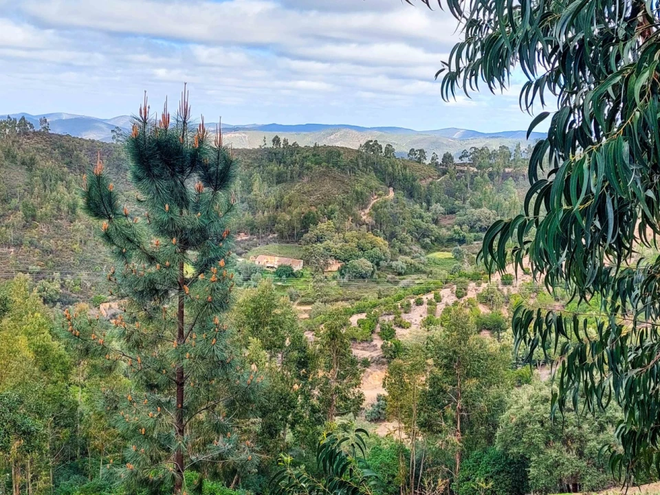 Quinta T5 para Venda em Monchique Foto 43