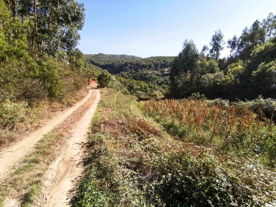 Quinta T5 para Venda em Monchique Foto 39