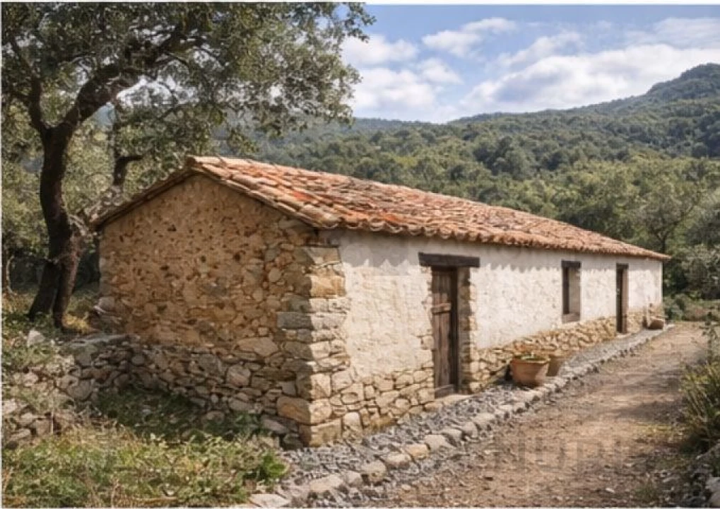 Quinta T5 para Venda em Monchique Foto 3