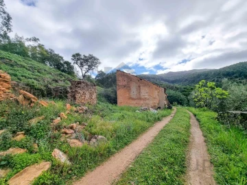 Quinta T5 para Venda em Monchique
