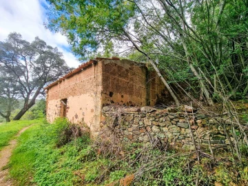 Quinta T5 para Venda em Monchique