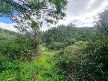 Quinta T5 para Venda em Monchique