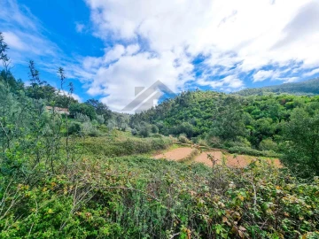 Quinta T5 para Venda em Monchique