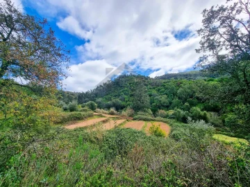 Quinta T5 para Venda em Monchique