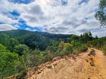 Quinta T5 para Venda em Monchique