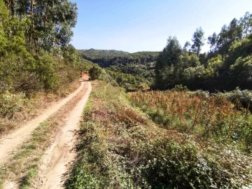 Quinta T5 para Venda em Monchique