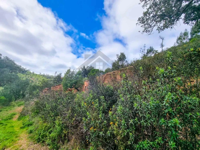 Quinta T5 para Venda em Monchique Foto 35