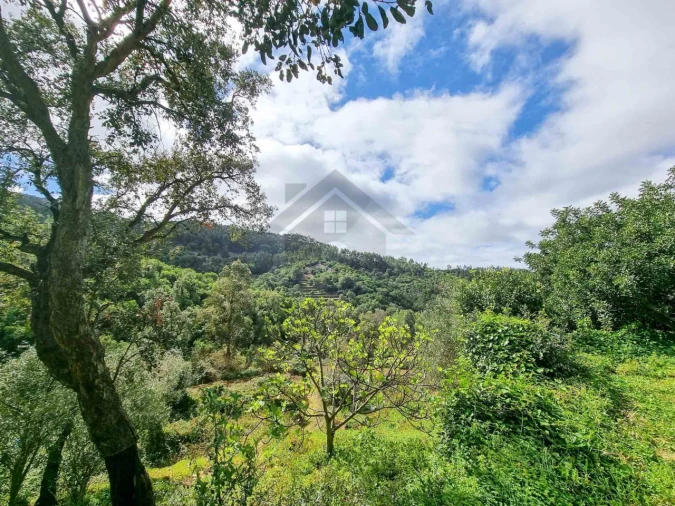 Quinta T5 para Venda em Monchique Foto 36