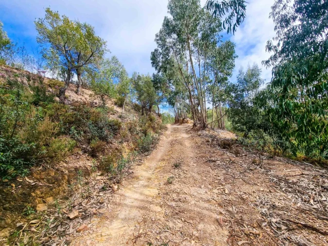 Quinta T5 para Venda em Monchique Foto 42