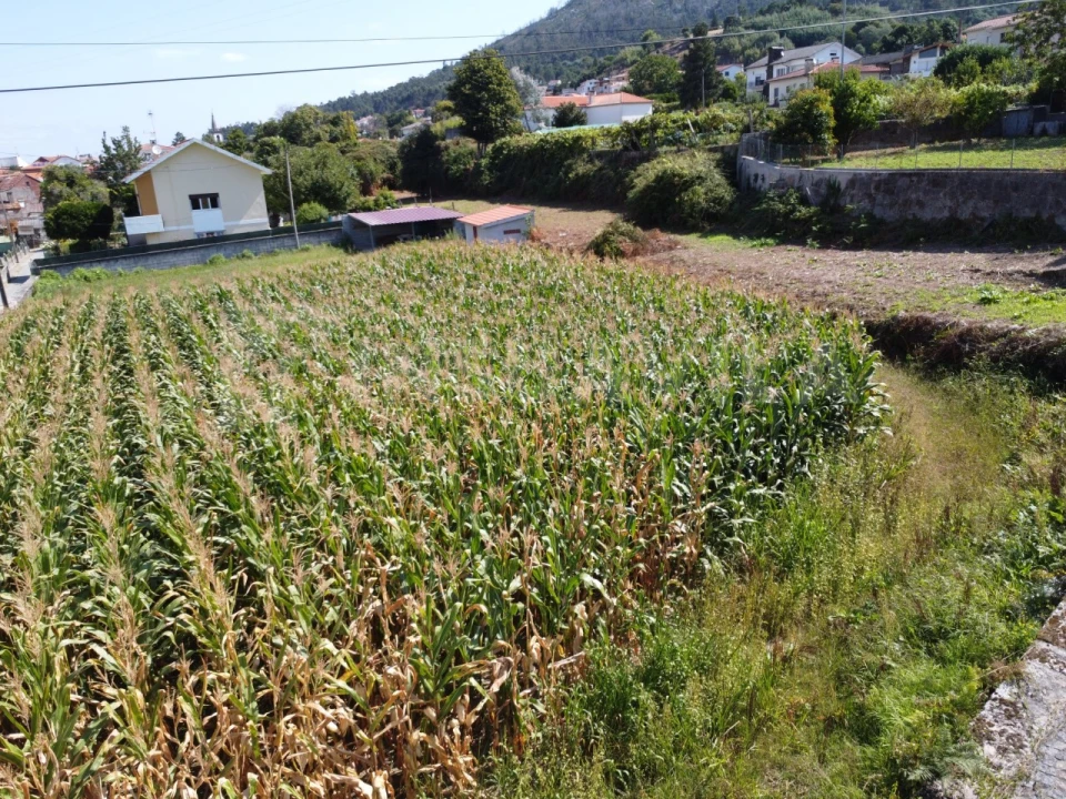 Terreno para Venda em Lanhelas Foto 5