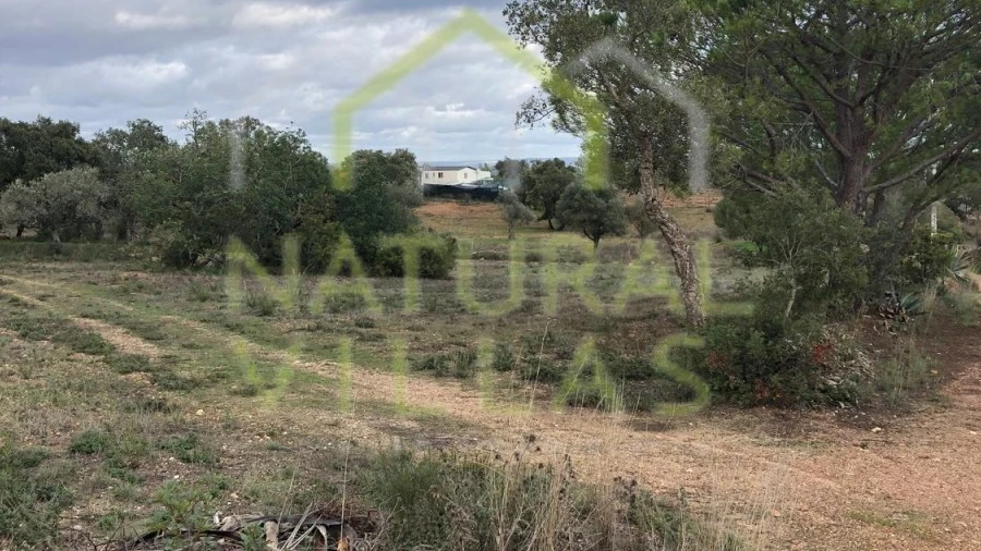 Terreno Agricola ou Rústico para Venda em Silves