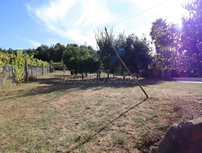 Moradia T3 para Venda em Alfena Foto 3