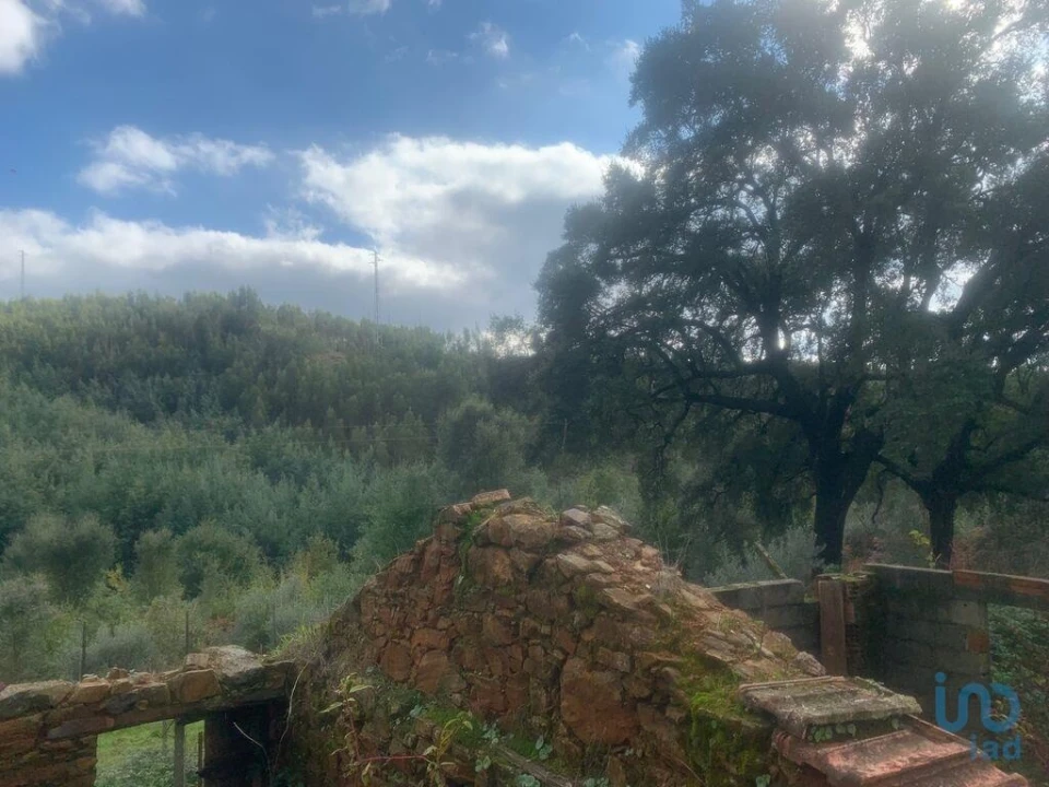 Terreno para Venda em Pedrogão Grande Foto 5