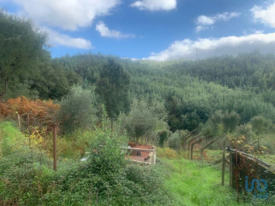 Terreno para Venda em Pedrogão Grande Foto 8